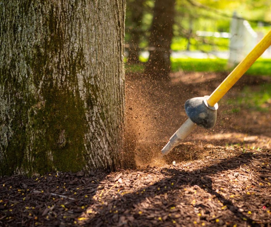 tree root air spading